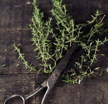 2025 COOKING WORKSHOPS & EVENTS
