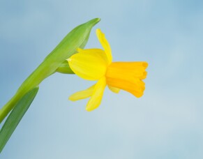 It's That Time Of Year