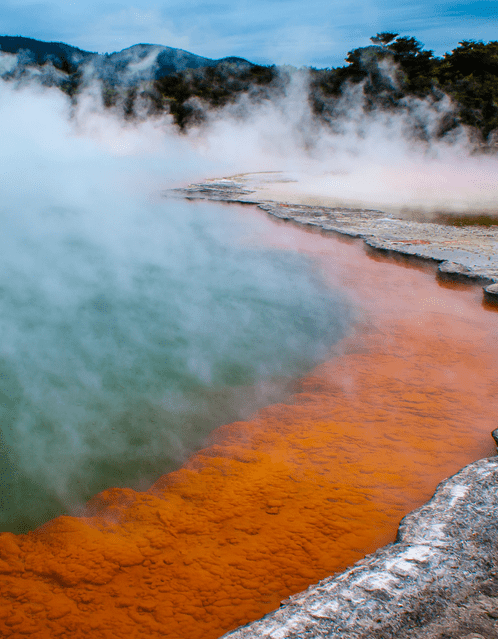 Day 4: Coromandel/Rotorua