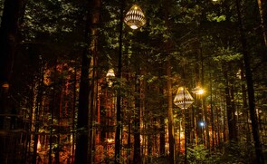 NOW VIRTUAL - PARTICIPATE FROM ANYWHERE