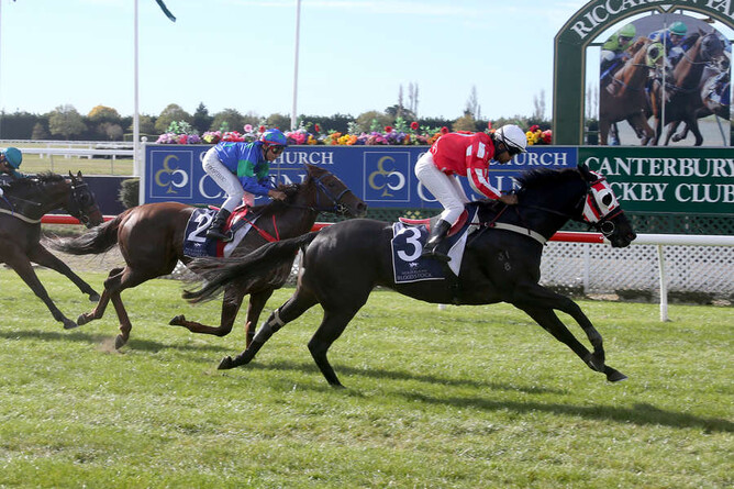 Coup Darci Be - Photo: Race Images South