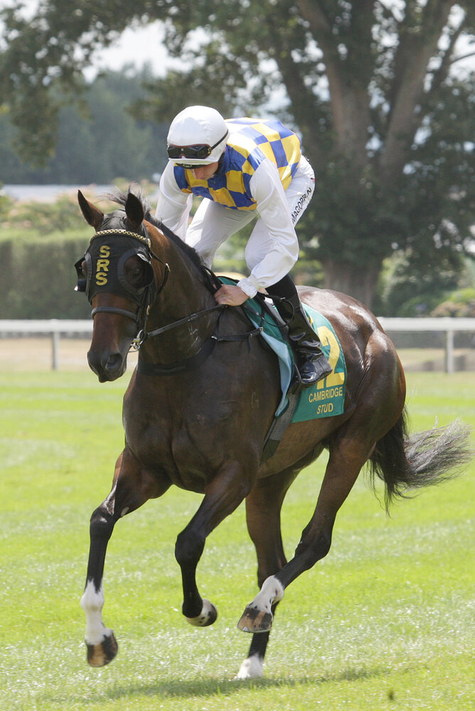 Fanatic - Photo: Trish Dunell