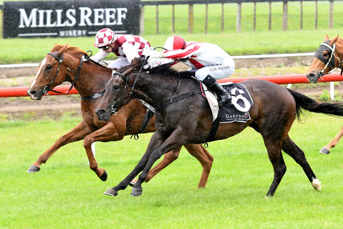 Global Thinking (outer) - Kenton Wright, Race Images