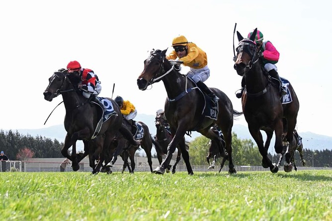 Gr.1 Al Basti Equiworld Dubai New Zealand 2000 Guineas (1600m) hopeful Danjuro (centre).  - Photo: Peter Rubery, Race Images