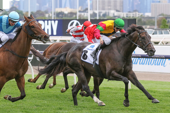 Damian Lane gets the best out of Age Of Chivalry at Flemington - Photo Credit: Bruno Cannatelli