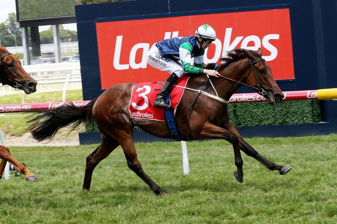 Paris Rock - Darryl Sherer