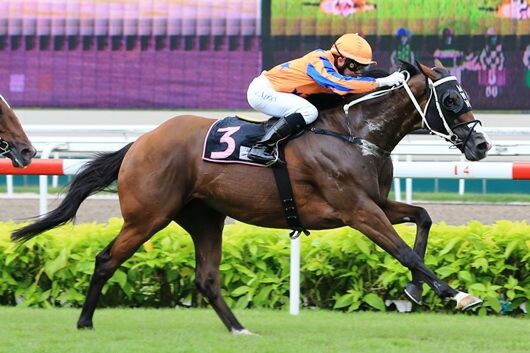 Rockfast - Photo: Singapore Turf