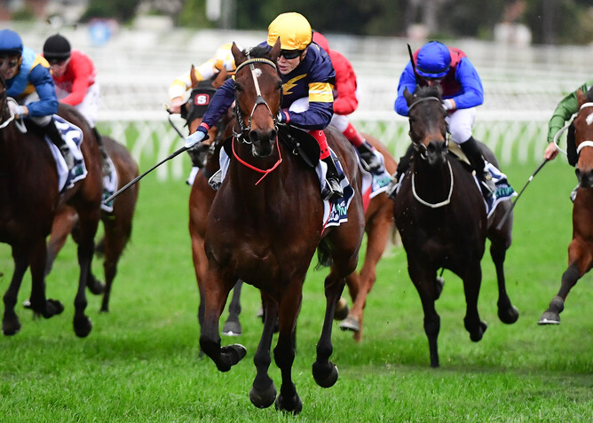 Tofane will contest the Gr.1 Makybe Diva Stakes (1600m) at Flemington on Saturday. - Photo: Grant Peters