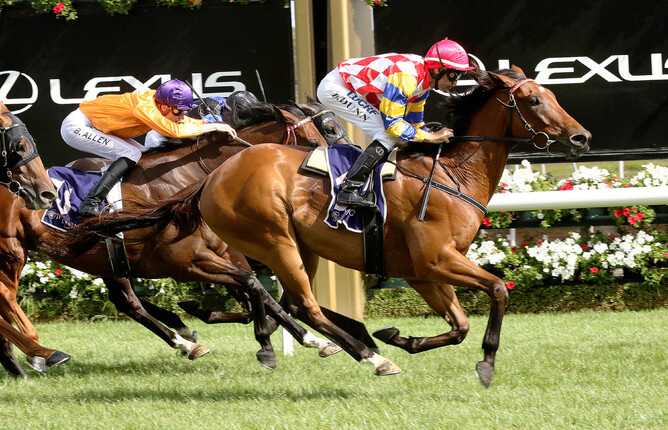 Manolo Blahniq will head to Perth for the Gr.1 Railway Stakes. - Darryl Sherer