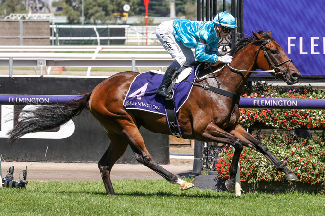 Annavisto winning the Gr.3 Tony Bourke Memorial (1400m) at Flemington on Saturday - Photo: Bruno Cannatelli