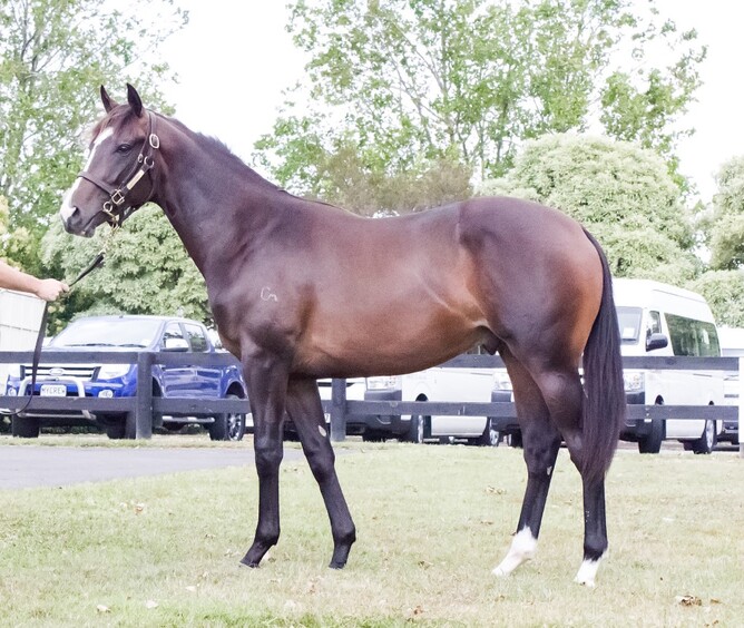 Weaponry as a yearling