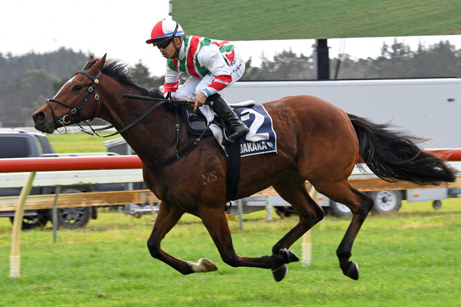 Malt Time winning at Ruakaka on Saturday.  - Photo: Therese Davis (Race Images)