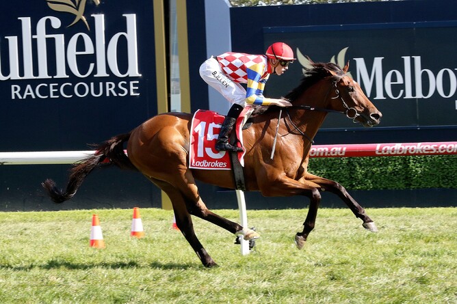 Manolo Blahniq will return to Rosehill on Saturday. Photo: Darryl Sherer