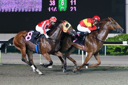 Red Dawn winning on Friday Night - Photo: Singapore Turf Club