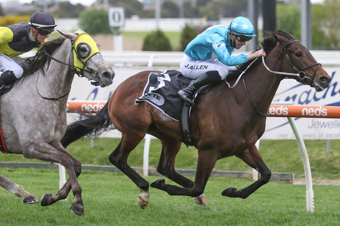 Annavisto winning at Caulfield on Saturday. - Bruno Cannatelli