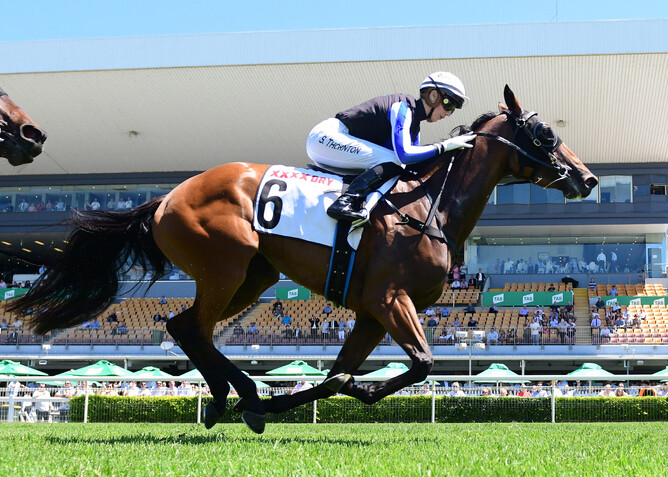 Gypsy Goddess makes it three wins on end with a gritty victory at Doomben - Photo: Grant Peters