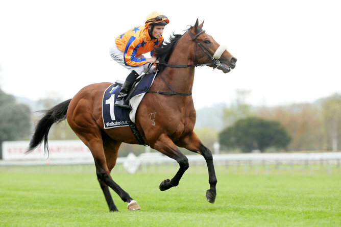 Heroic Valour - Photo: Trish Dunell