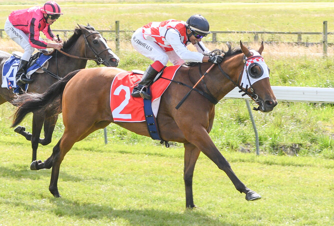 What Choux Want - Photo: Wild Range Photography