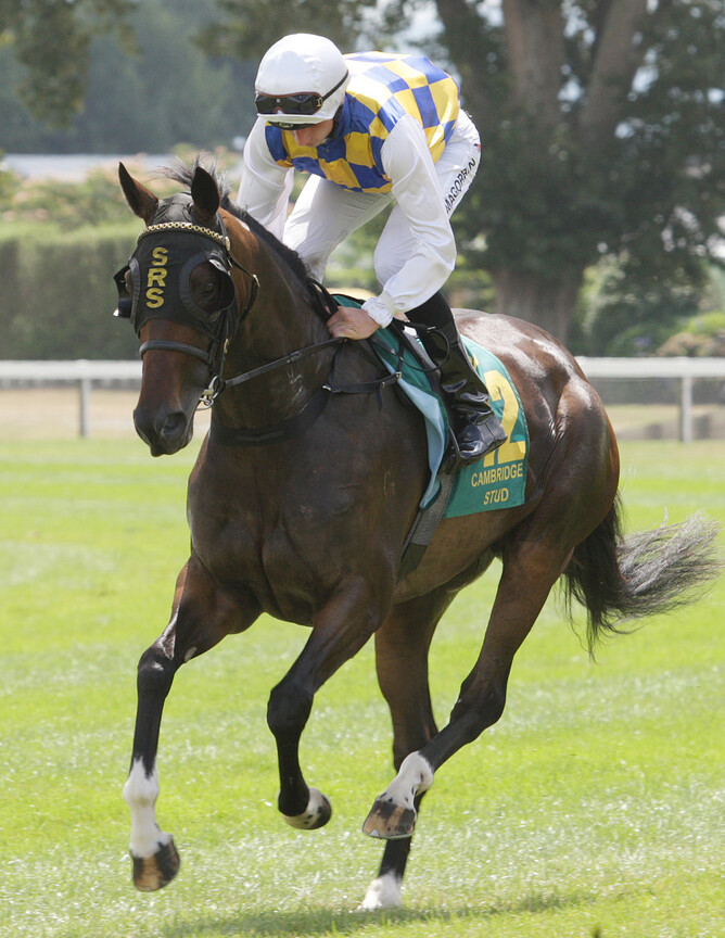 Fanatic - Photo: Trish Dunell