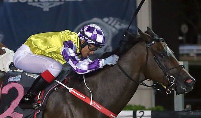 Sacred Cham, one of two Cm winners at Kranji on Friday night - Photo: Singapore Turf Club