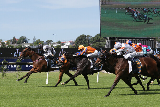 Fortunate Son (inside) on his way to winning at Ellerslie on Sunday.   - Photo: Trish Dunell