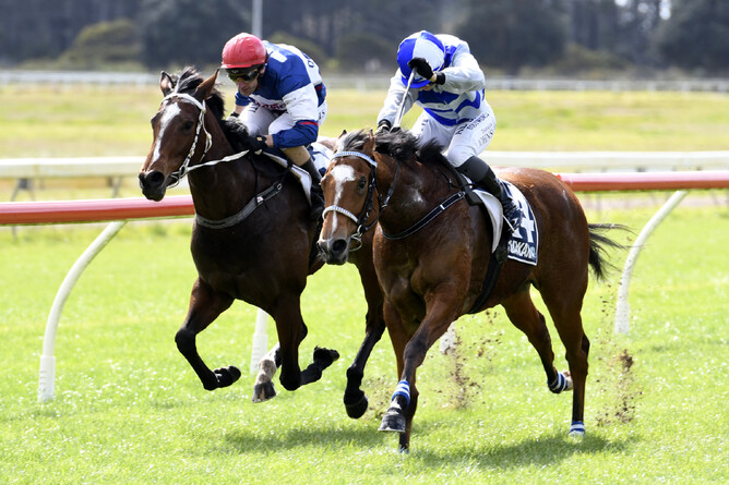 Loose Cannon (inside) will contest the Gr.3 Partners Life Soliloquy Stakes (1400m) at Ellerslie on Saturday. - Race Images