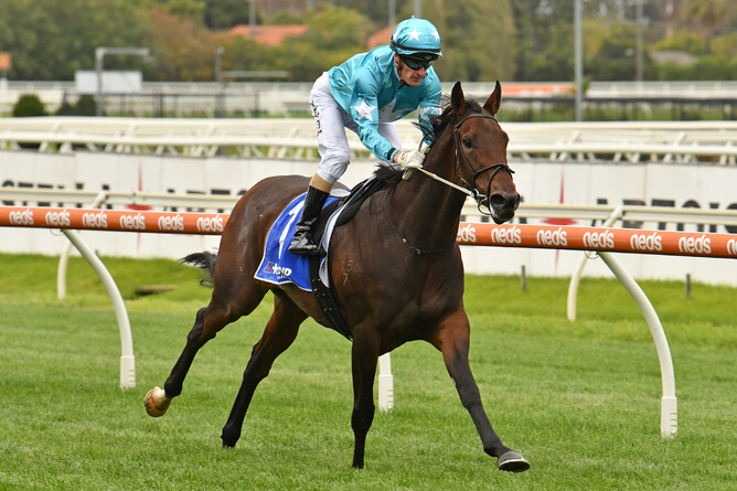 Annavisto faces a Group One test on Saturday - Photo: Natasha Morello, Racing Photos