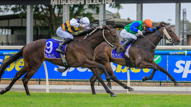 Roadcone takes out the Magic Millions Digital Handicap in style. - Photo: Grant Courtney