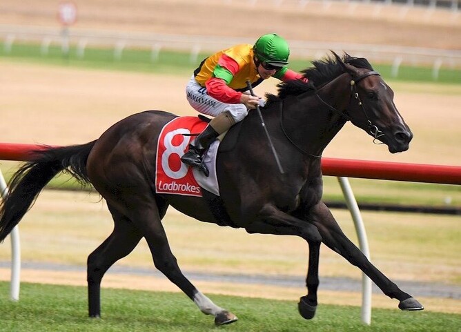 All going to plan Age of Chivalry will continue his path towards gaining a Group One start at Caulfield on Saturday - Supplied