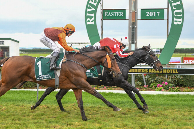 Jazzman ridden by Amanda Morgan to his 11th win - Photo: Wild Range Photography