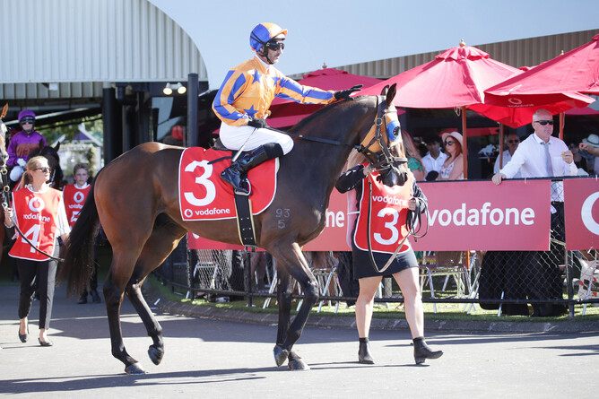 In A Twinkling heads to Hastings on Saturday - Trish Dunell