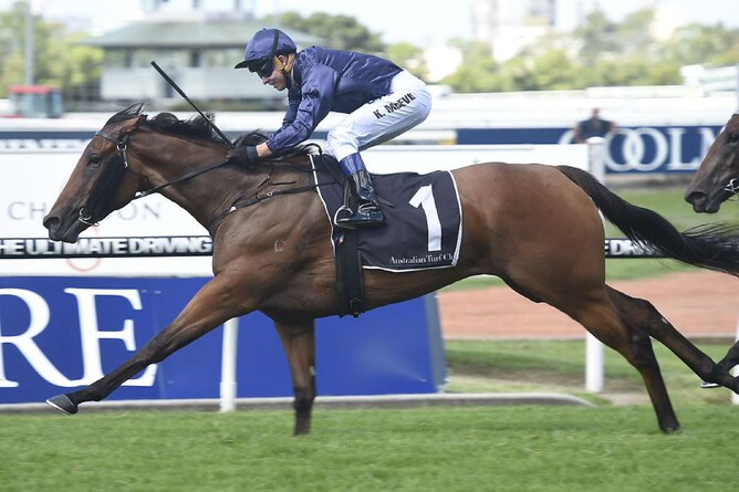 Tulip - Bradley Photographers