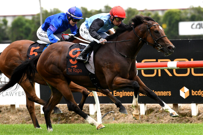 Tevere storms to victory at Te Rapa - Photo: Kenton Wright, Race Images
