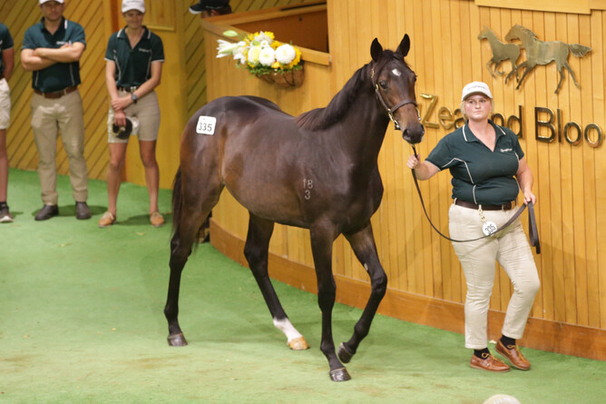 Lot 335, the Proisir half-sister to Group One performer Powers Of Opal, was purchased by Sydney-based trainer John Sargent and bloodstock agent Duncan Ramage for $700,000. - Photo: Kirstin Ledington
