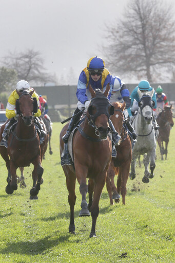 Rodrico - Trish Dunell