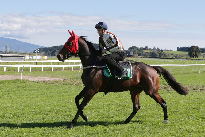 Debutant Levakia. - Photo: Trish Dunell