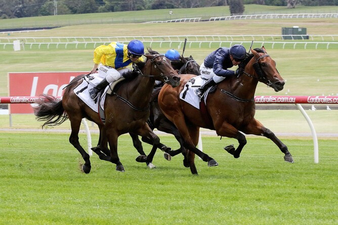 Long Leaf - Darryl Sherer