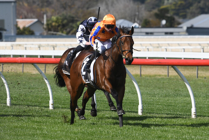 Snitzel colt To Bravery Born completes a comfortable victory in the first two-year-old race of the season.   - Photo: Peter Rubery (Race Images Palmerston North)