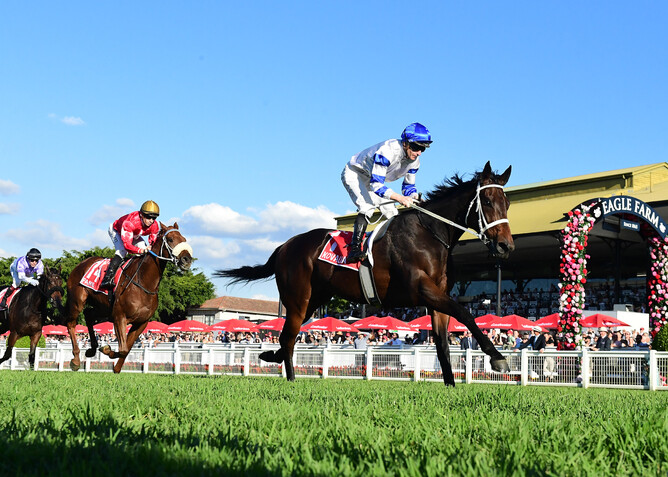 Kovalica adds another New Zealand-bred Group One triumph to the 2022-23 Australian racing season register of spectacular success in the  Gr. 1 Queensland Derby (2400m) at Eagle Farm  - Photo: Grant Peters