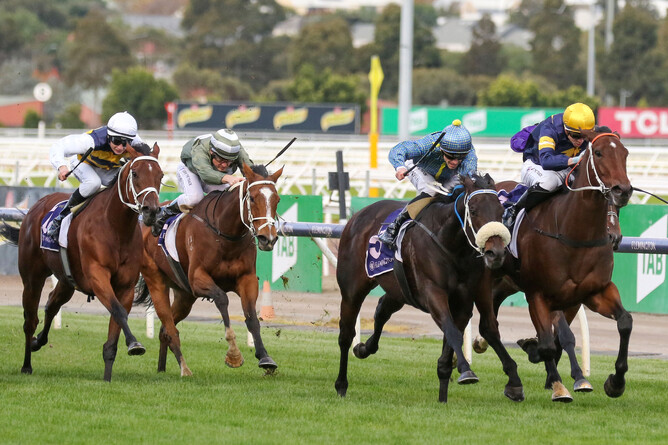 Photo: Daytona Bay (white nose roll) gets in the deciding stride at Flemington - Photo: Bruno Cannatelli