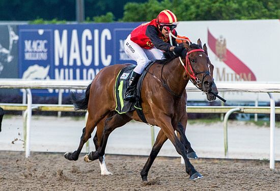 War Frontier off to his first win on Friday night. Photo: STC