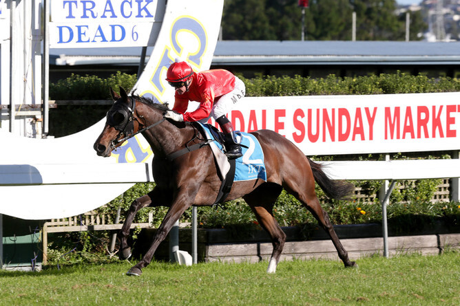 So Far Sokool - Photo: Trish Dunell