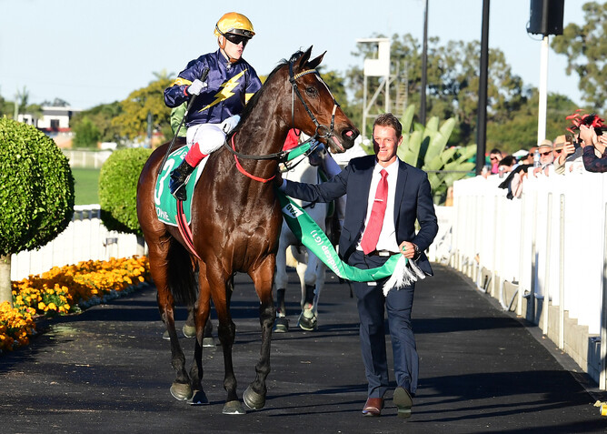 Tofane returns a winner after the Gr.1 Stradbroke Handicap. - Photo: Grant Peters via NZ Racing Desk