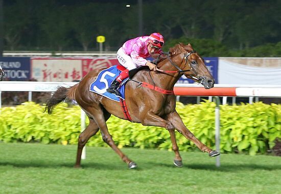 I'm Incredible is not quite ready for his racing return. Photo: STC