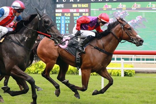 Justice Glory (Alysha Collett) gets on the scoresheet at her first start in Singapore. - STC