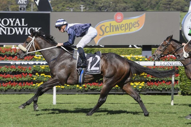 Kinane winning the Gr.3 Frank Packer Plate (2000m) at Randwick on Saturday. Photo: Bradleyphotos.com.au via NZ Racing Desk