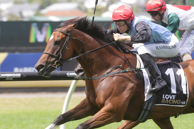 Progressive mare Tevere storms to victory at Ellerslie - Trish Dunell