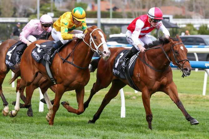 Lilac on her way to winning Saturday’s A$175,000 Listed NJT Jim Moloney Stakes (1400m) at Caulfield. - Photo: Bruno Cannatelli
