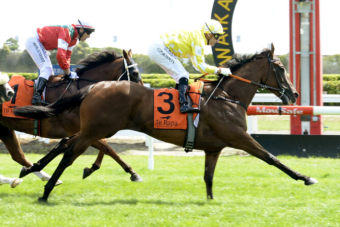 Flying Feet - Race Images