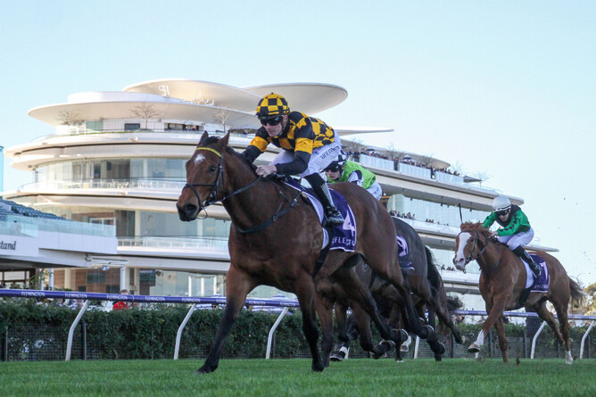 Not An Option winning  the Brian Beattie Handicap (1420m) at Flemington - Photo: Bruno Cannatelli